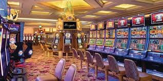 tm15 sports and casino platform overview on mobile screen